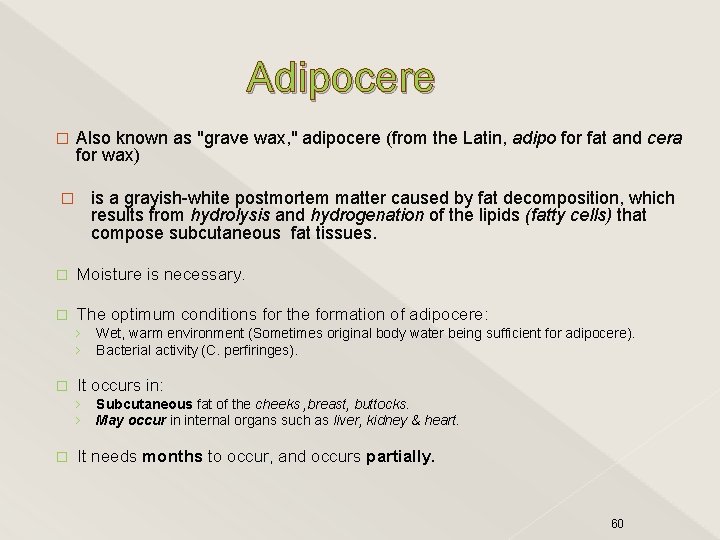 Adipocere Also known as "grave wax, " adipocere (from the Latin, adipo for fat