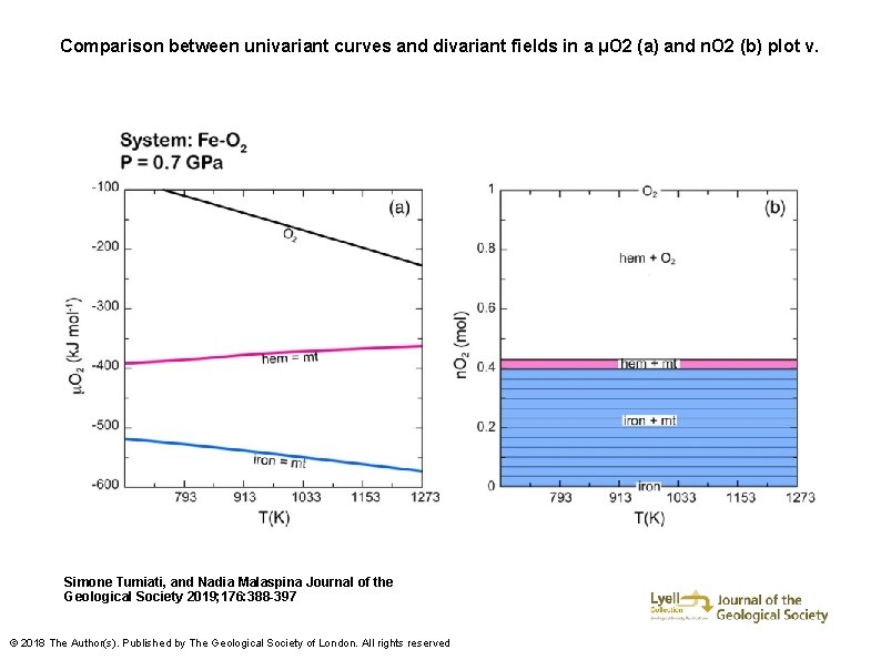 Comparison between univariant curves and divariant fields in a μO 2 (a) and n.