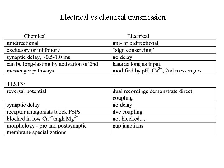 Synaptic transmission background history electrical transmission