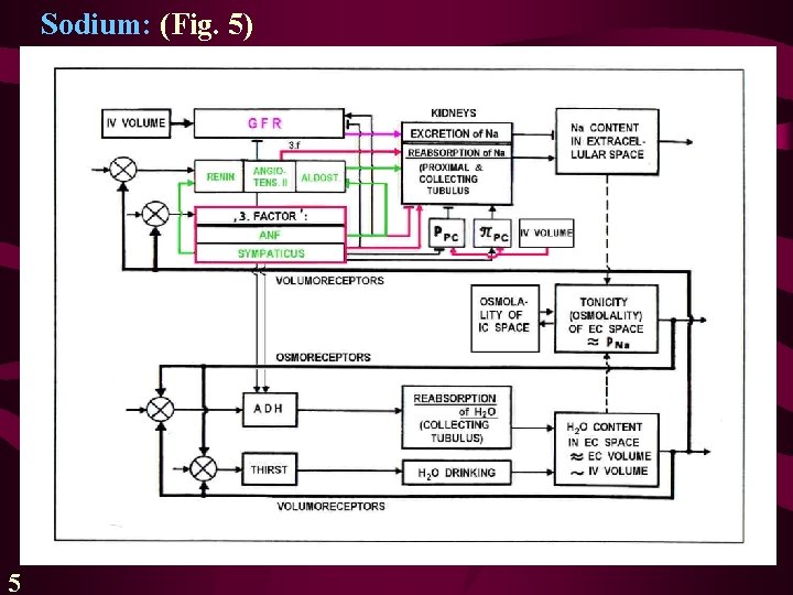 Sodium: (Fig. 5) 5 