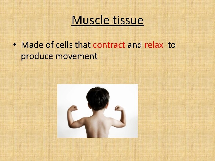 Muscle tissue • Made of cells that contract and relax to produce movement 