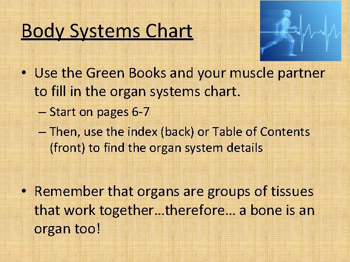 Body Systems Chart • Use the Green Books and your muscle partner to fill