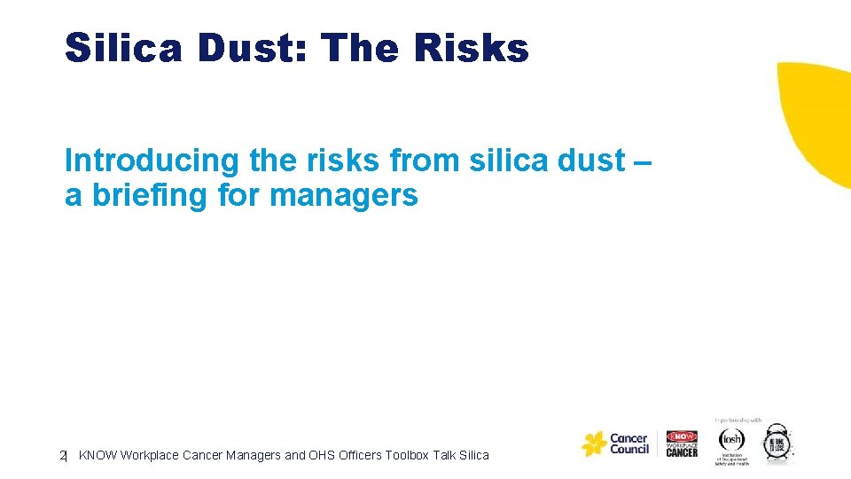 Silica Dust: The Risks Introducing the risks from silica dust – a briefing for