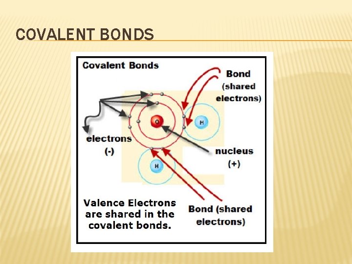 COVALENT BONDS 
