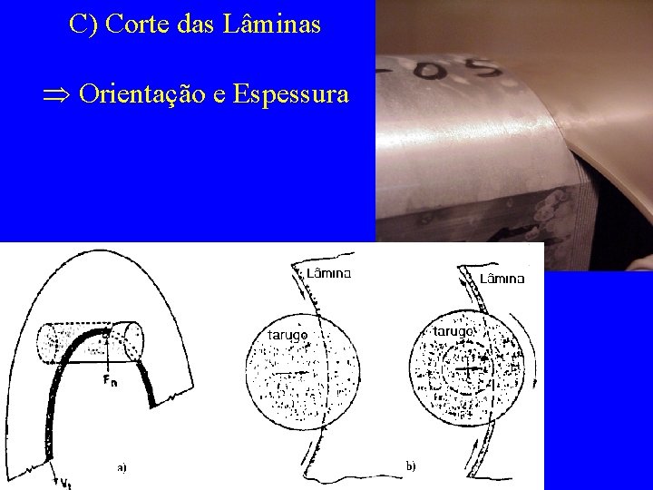 C) Corte das Lâminas Orientação e Espessura 