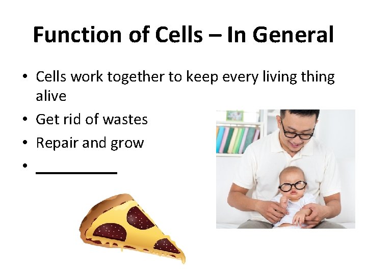 Function of Cells – In General • Cells work together to keep every living