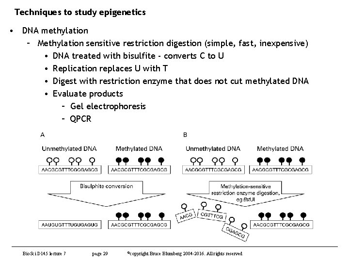 Techniques to study epigenetics • DNA methylation – Methylation sensitive restriction digestion (simple, fast,