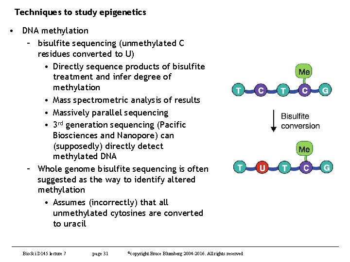Techniques to study epigenetics • DNA methylation – bisulfite sequencing (unmethylated C residues converted