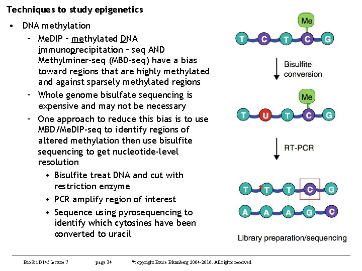 Techniques to study epigenetics • DNA methylation – Me. DIP – methylated DNA immunoprecipitation