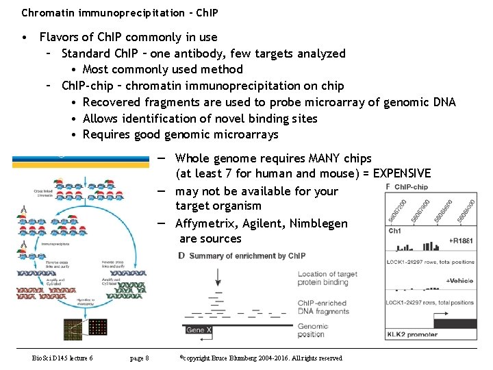Chromatin immunoprecipitation - Ch. IP • Flavors of Ch. IP commonly in use –
