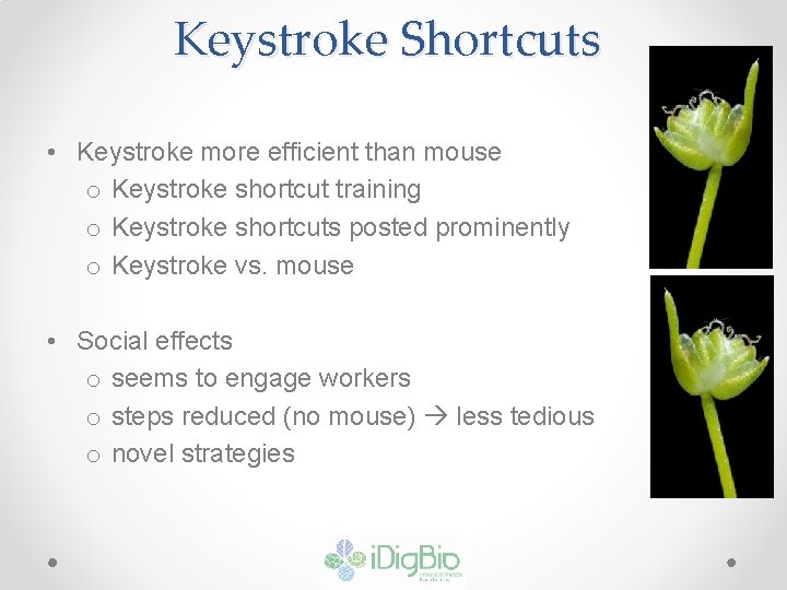 Keystroke Shortcuts • Keystroke more efficient than mouse o Keystroke shortcut training o Keystroke