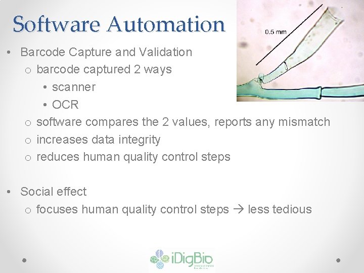 Software Automation • Barcode Capture and Validation o barcode captured 2 ways • scanner