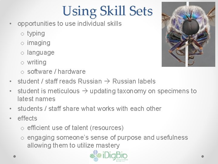 Using Skill Sets • opportunities to use individual skills o typing o imaging o