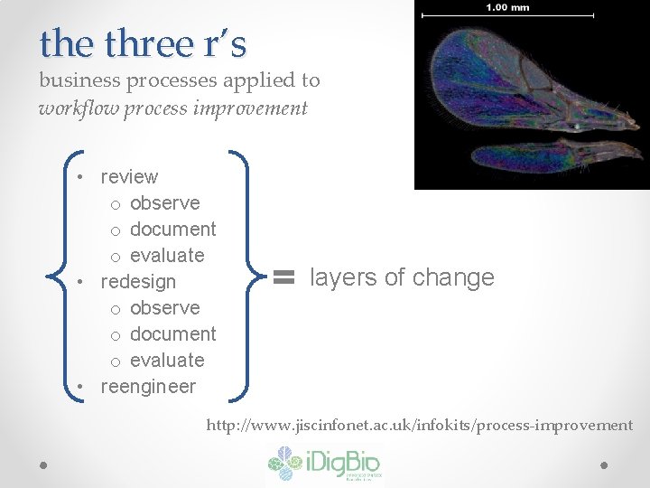 the three r’s business processes applied to workflow process improvement • review o observe