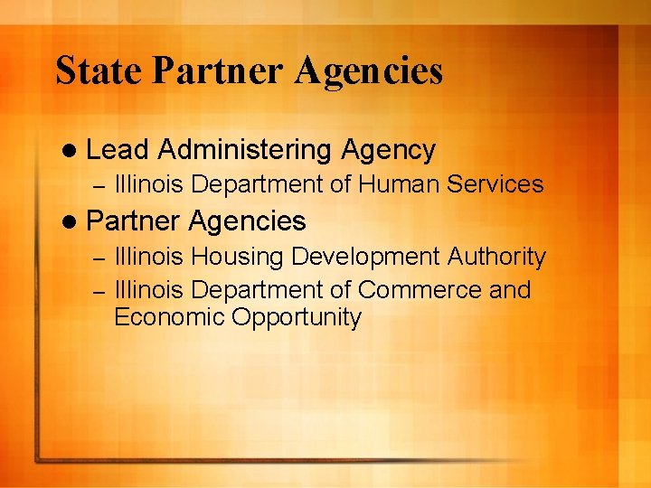 State Partner Agencies l Lead – Administering Agency Illinois Department of Human Services l