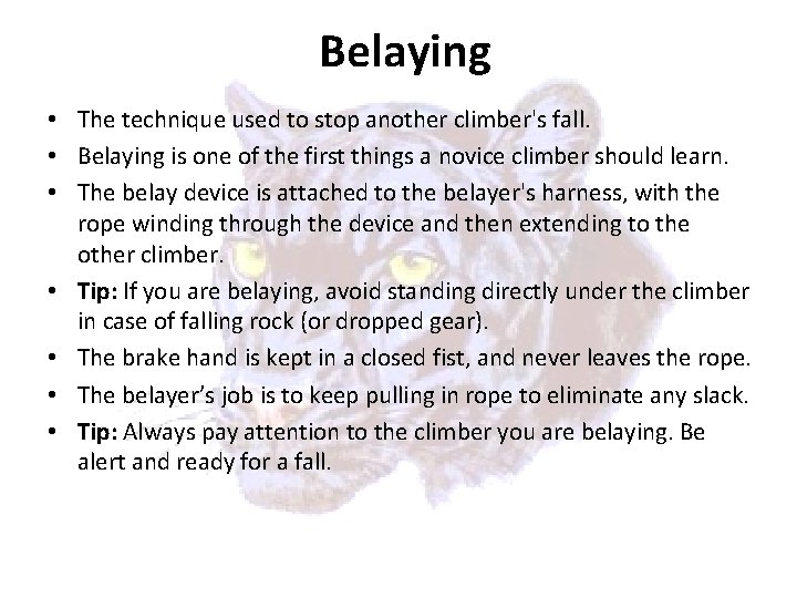 Belaying • The technique used to stop another climber's fall. • Belaying is one