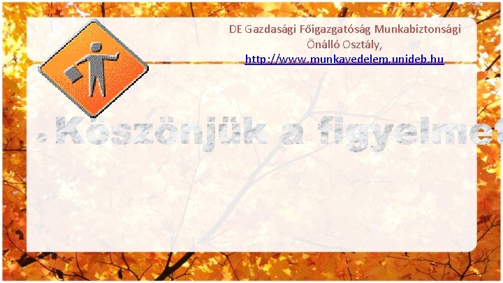 DE Gazdasági Főigazgatóság Munkabiztonsági Önálló Osztály, http: //www. munkavedelem. unideb. hu 