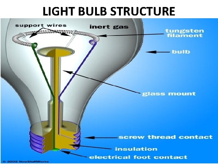 LIGHT BULB STRUCTURE 