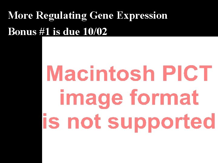 More Regulating Gene Expression Bonus #1 is due 10/02 