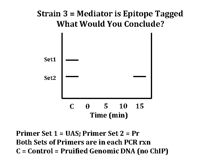 Strain 3 = Mediator is Epitope Tagged What Would You Conclude? Set 1 Set