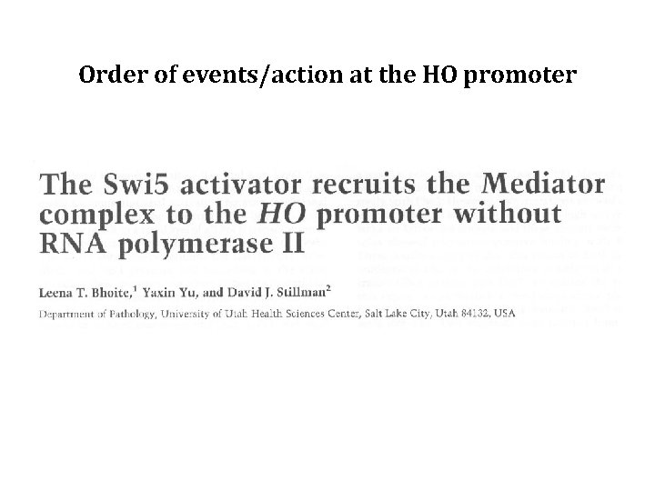Order of events/action at the HO promoter 