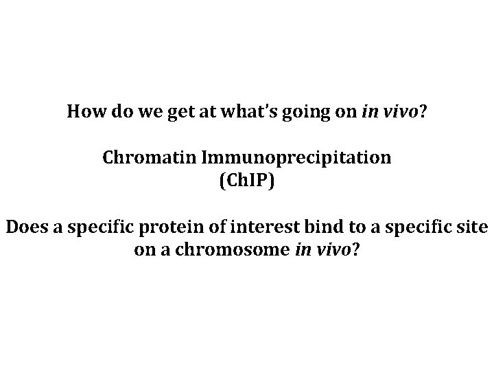 How do we get at what’s going on in vivo? Chromatin Immunoprecipitation (Ch. IP)