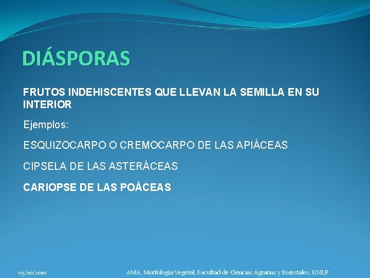 DIÁSPORAS FRUTOS INDEHISCENTES QUE LLEVAN LA SEMILLA EN SU INTERIOR Ejemplos: ESQUIZOCARPO O CREMOCARPO
