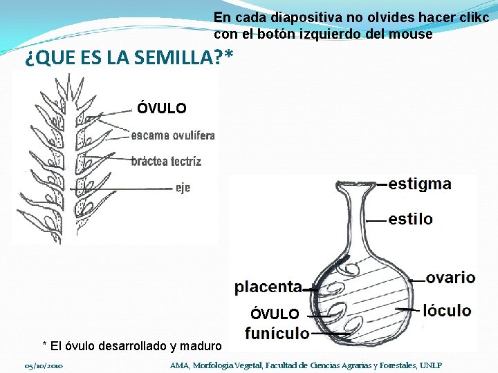 En cada diapositiva no olvides hacer clikc con el botón izquierdo del mouse ¿QUE