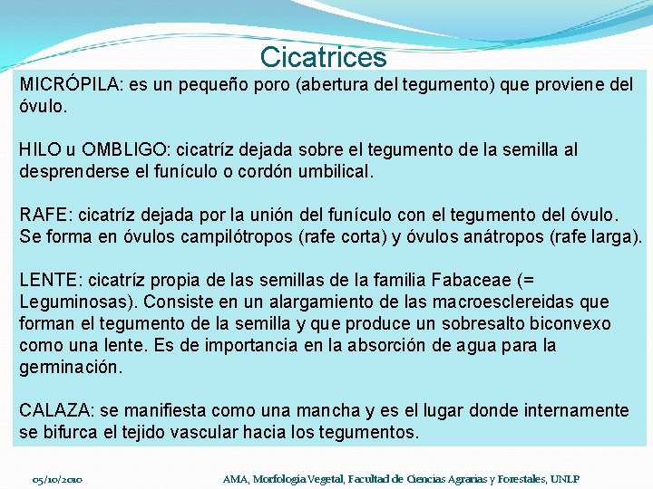 Cicatrices MICRÓPILA: es un pequeño poro (abertura del tegumento) que proviene del óvulo. HILO