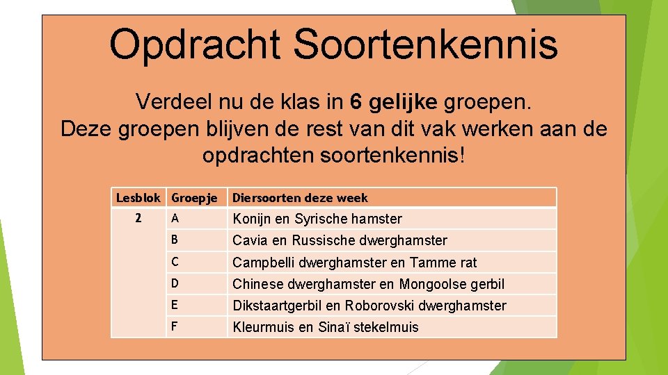 Opdracht Soortenkennis Verdeel nu de klas in 6 gelijke groepen. Deze groepen blijven de