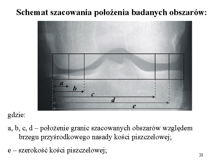 Schemat szacowania położenia badanych obszarów: gdzie: a, b, c, d – położenie granic szacowanych