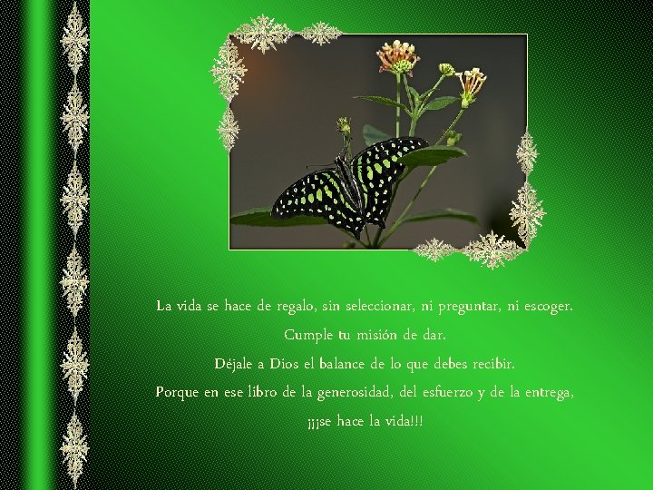 La vida se hace de regalo, sin seleccionar, ni preguntar, ni escoger. Cumple tu