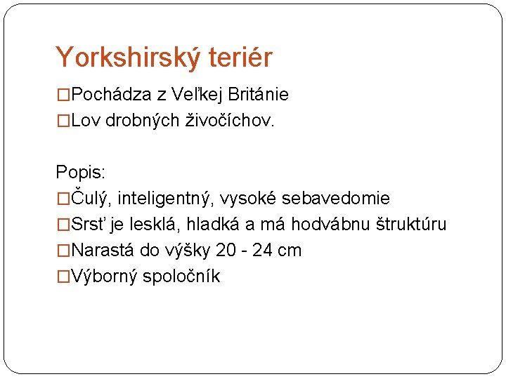 Yorkshirský teriér �Pochádza z Veľkej Británie �Lov drobných živočíchov. Popis: �Čulý, inteligentný, vysoké sebavedomie