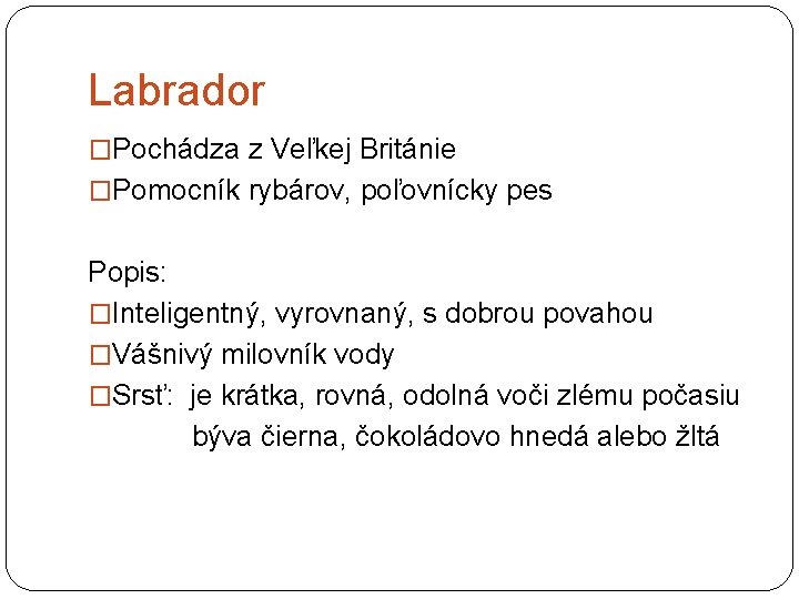 Labrador �Pochádza z Veľkej Británie �Pomocník rybárov, poľovnícky pes Popis: �Inteligentný, vyrovnaný, s dobrou