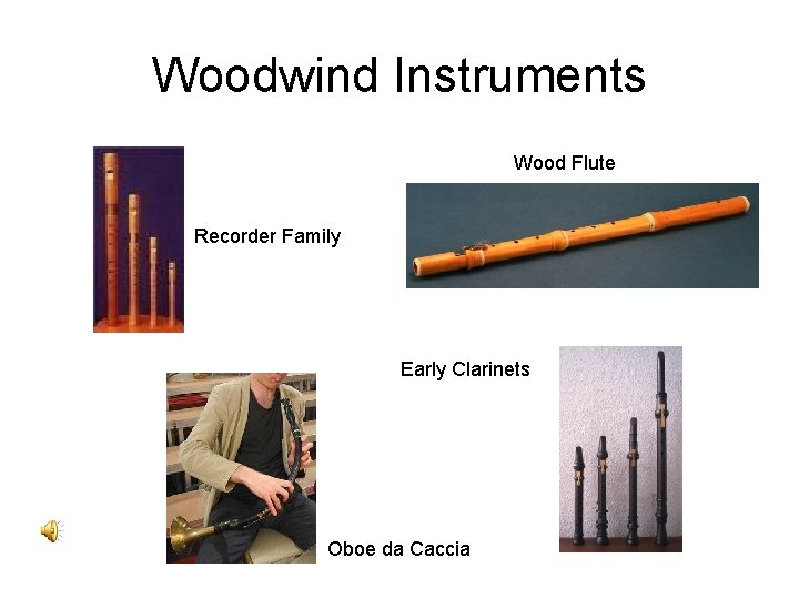 Woodwind Instruments Wood Flute Recorder Family Early Clarinets Oboe da Caccia 