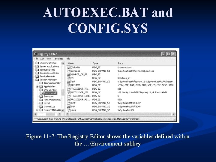 AUTOEXEC. BAT and CONFIG. SYS Figure 11 -7: The Registry Editor shows the variables
