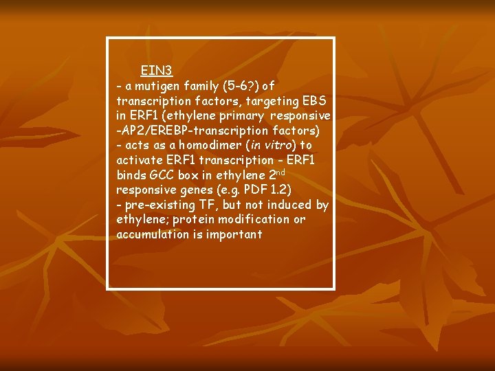 EIN 3 - a mutigen family (5 -6? ) of transcription factors, targeting EBS