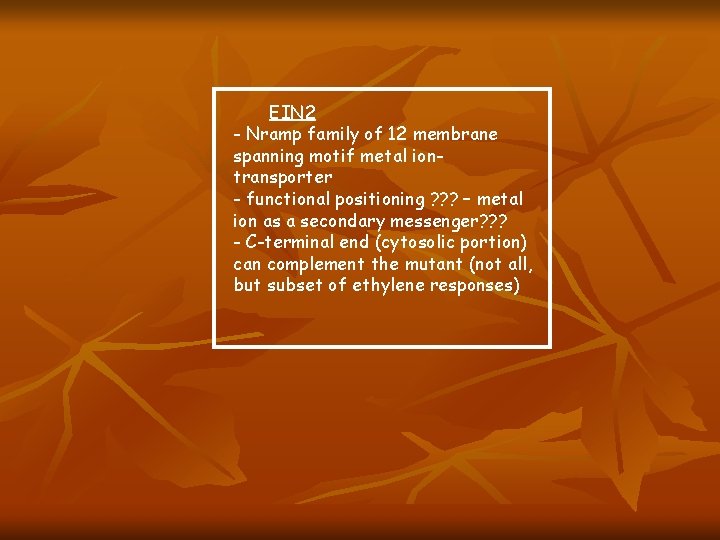 EIN 2 - Nramp family of 12 membrane spanning motif metal iontransporter - functional