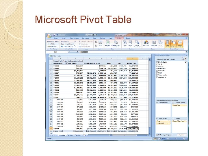 Microsoft Pivot Table 