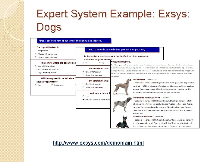 Expert System Example: Exsys: Dogs http: //www. exsys. com/demomain. html 