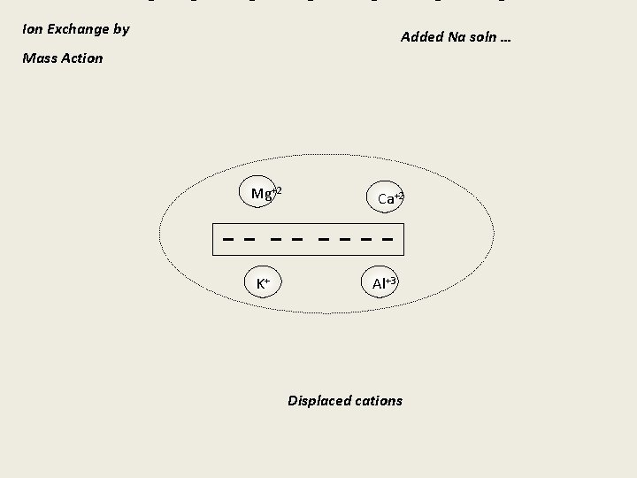 Ion Exchange by Added Na soln … Mass Action Mg+2 K+ Ca+2 Al+3 Displaced