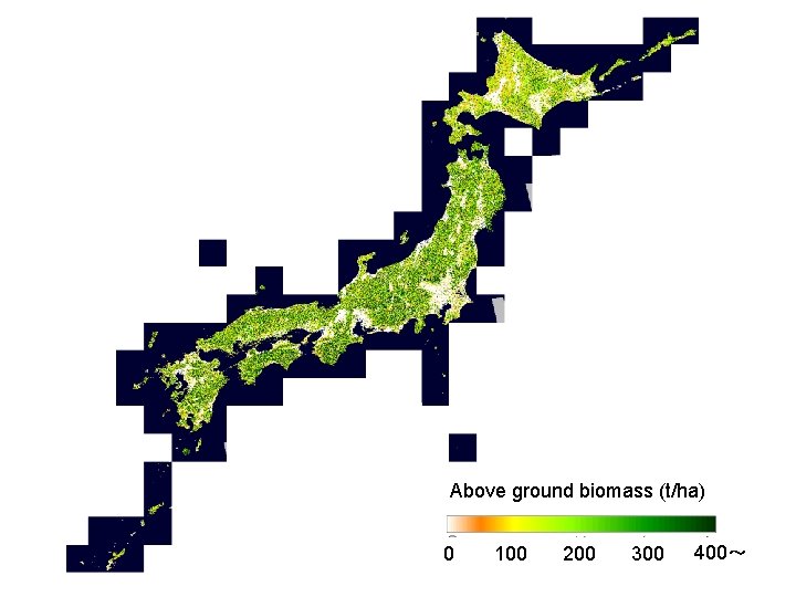 Above ground biomass (t/ha) 0 100 200 300 400～ 