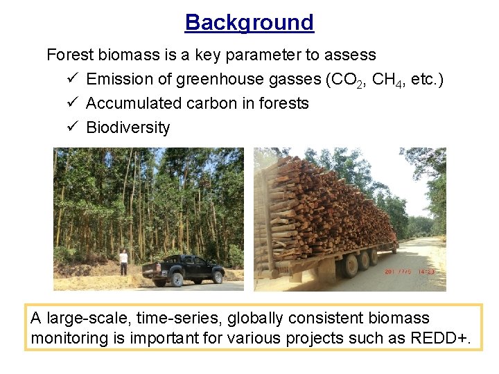 Background Forest biomass is a key parameter to assess ü Emission of greenhouse gasses