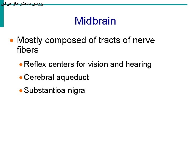  ﺑﺮﺭﺳی ﺳﺎﺧﺘﺎﺭ ﻣﻐﺰ ﻣیﺎﻧی Midbrain · Mostly composed of tracts of nerve fibers