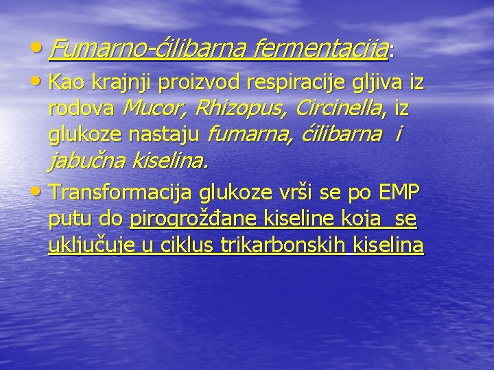  • Fumarno-ćilibarna fermentacija: • Kao krajnji proizvod respiracije gljiva iz rodova Mucor, Rhizopus,