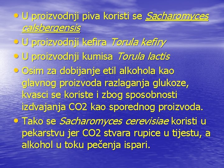  • U proizvodnji piva koristi se Sacharomyces calsbergensis • U proizvodnji kefira Torula