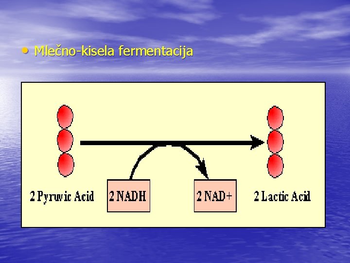  • Mlečno-kisela fermentacija 