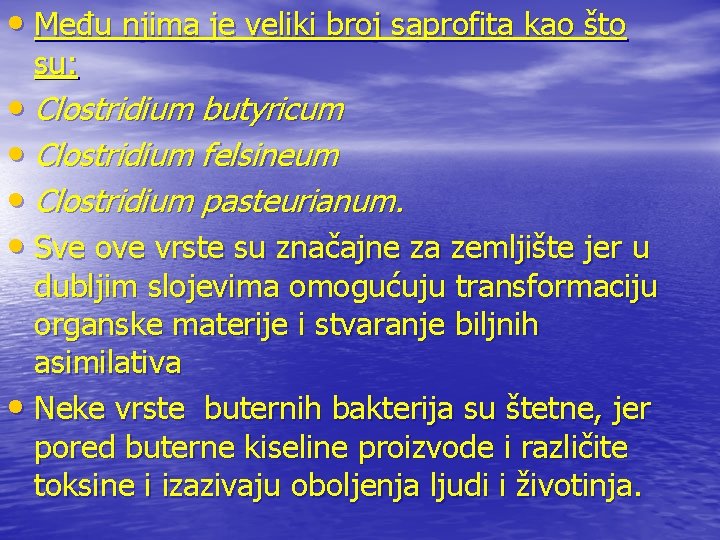 • Među njima je veliki broj saprofita kao što su: • Clostridium butyricum