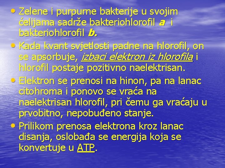  • Zelene i purpurne bakterije u svojim ćelijama sadrže bakteriohlorofil a i bakteriohlorofil