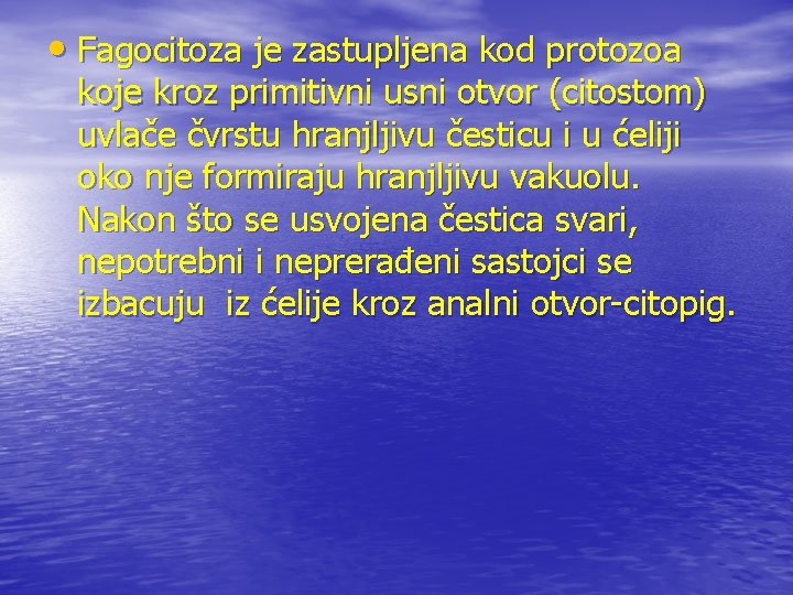  • Fagocitoza je zastupljena kod protozoa koje kroz primitivni usni otvor (citostom) uvlače